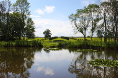 Killikus&reg; Fotographie