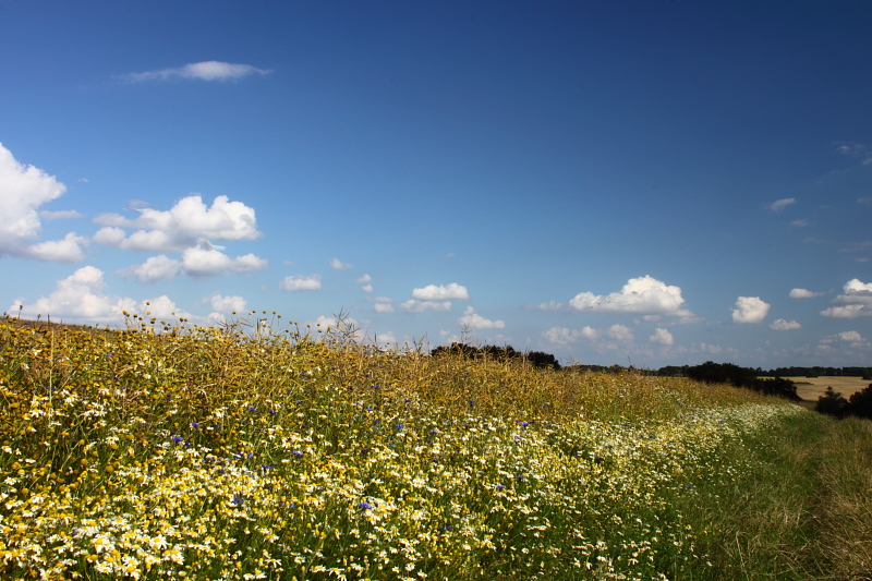 Killikus® Fotographie Killikus® Fotographie