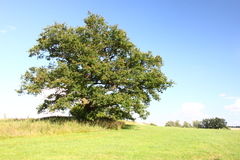 Killikus&reg; Fotographie