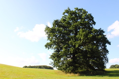 Killikus&reg; Fotographie