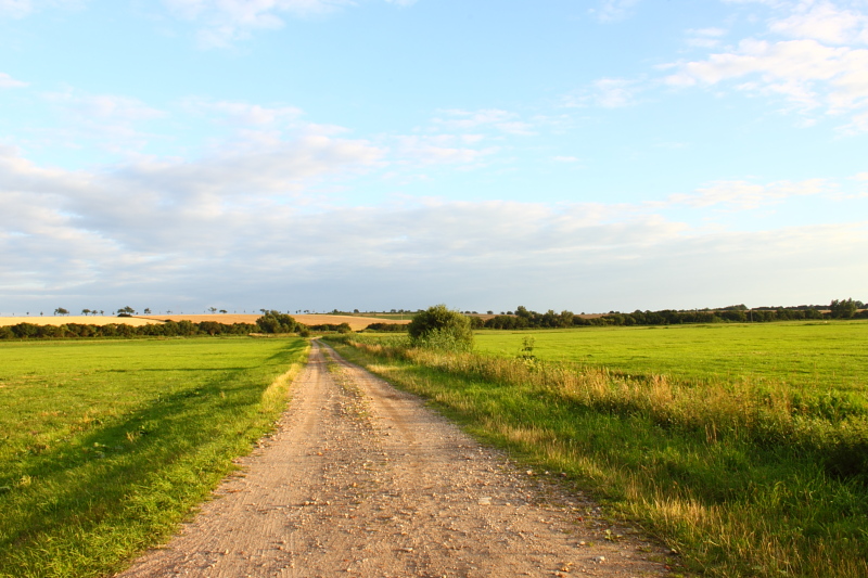 Killikus&reg; Fotographie