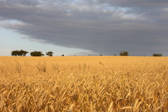 Killikus&reg; Fotographie