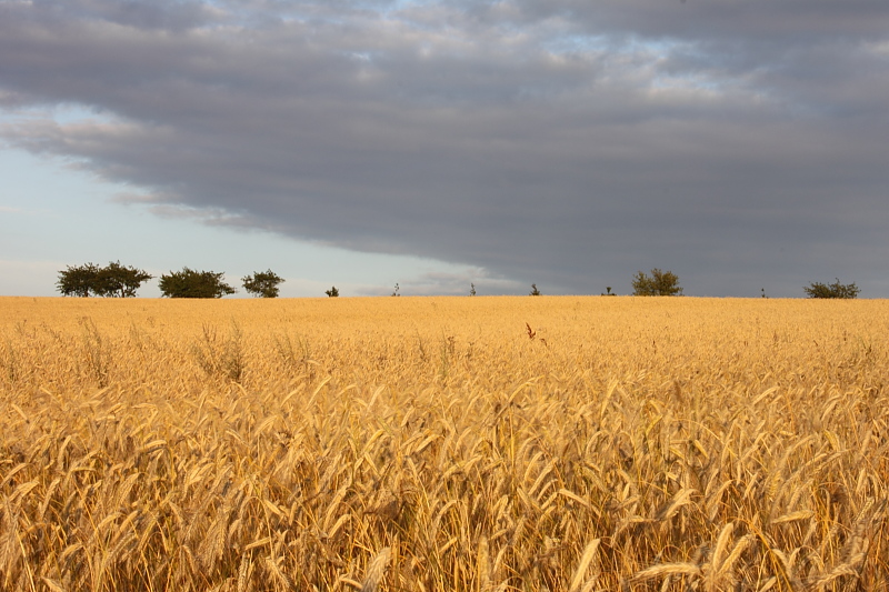 Killikus&reg; Fotographie