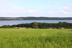 Killikus&reg; Fotographie