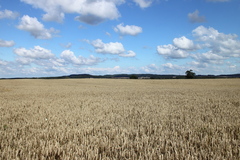 Killikus&reg; Fotographie