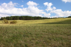 Killikus&reg; Fotographie