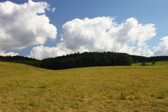 Killikus&reg; Fotographie