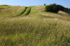 Killikus&reg; Fotographie