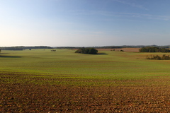 Killikus&reg; Fotographie