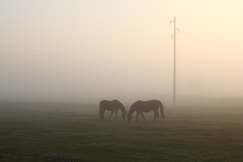 Killikus&reg; Fotographie