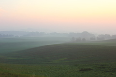 Killikus&reg; Fotographie