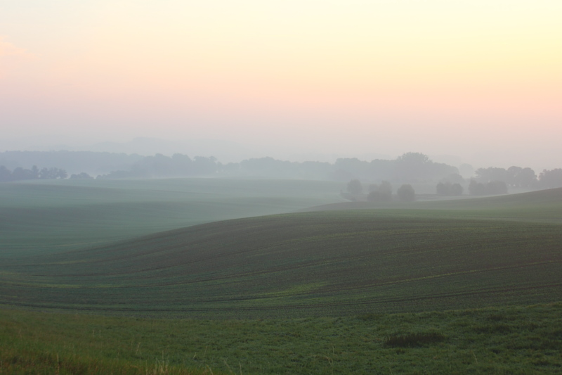 Killikus&reg; Fotographie