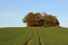 Killikus&reg; Fotographie