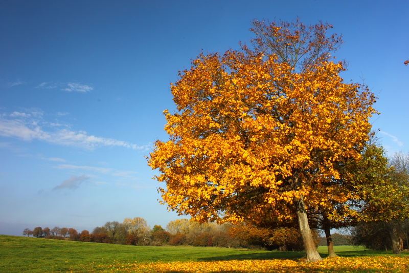 Killikus® Fotographie Killikus® Fotographie