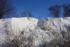 Killikus&reg; Fotographie