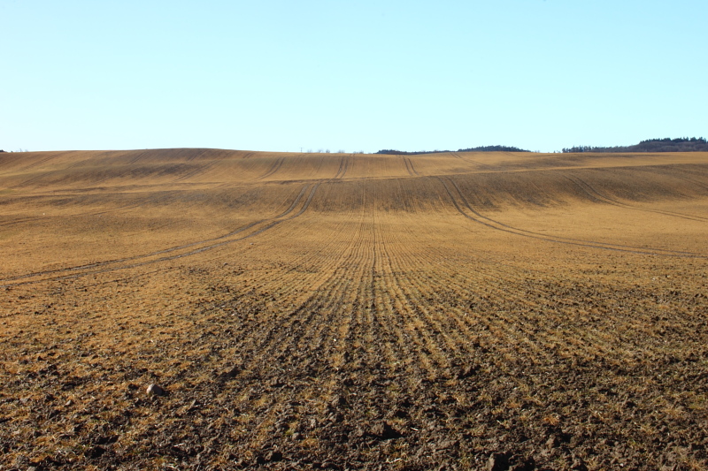 Killikus® Fotographie Killikus® Fotographie