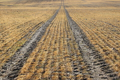 Killikus&reg; Fotographie