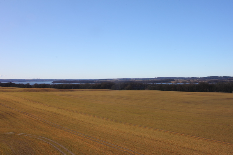 Killikus&reg; Fotographie