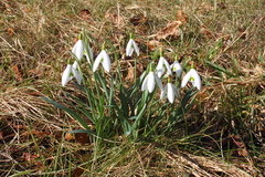 Killikus&reg; Fotographie