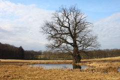 Killikus&reg; Fotographie