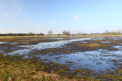 Killikus&reg; Fotographie