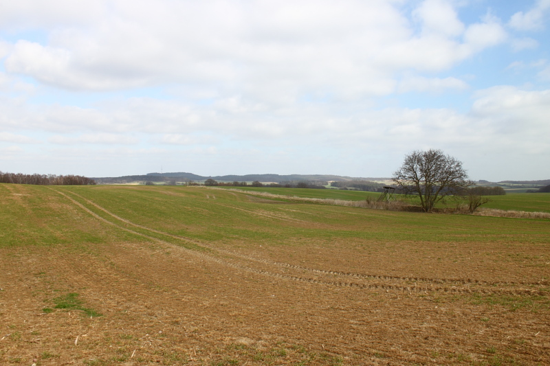 Killikus® Fotographie Killikus® Fotographie