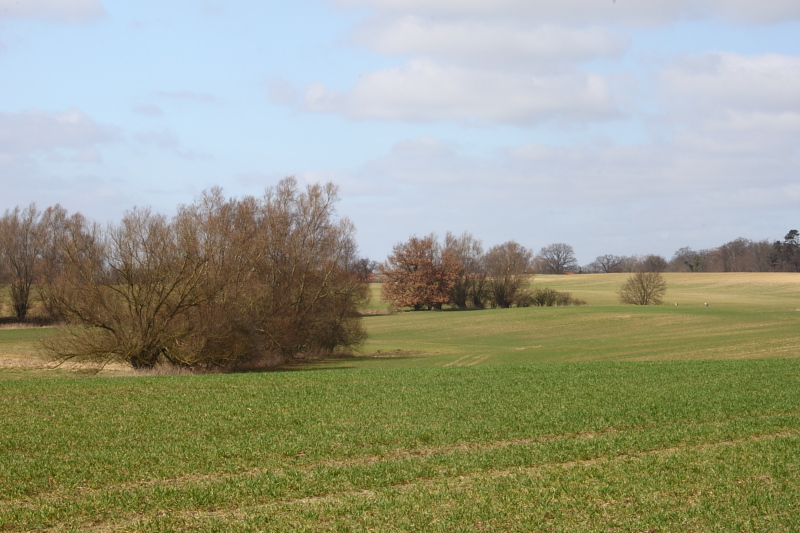 Killikus&reg; Fotographie