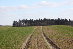 Killikus&reg; Fotographie