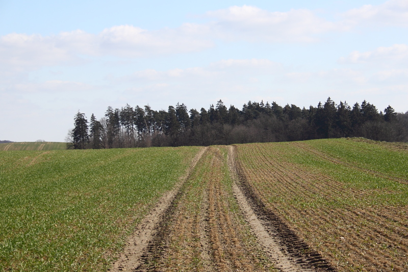 Killikus&reg; Fotographie