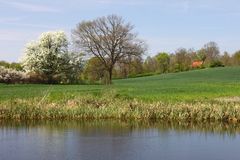 Killikus&reg; Fotographie