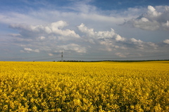 Killikus&reg; Fotographie