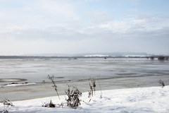 Killikus&reg; Fotographie