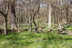 Killikus&reg; Fotographie