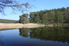 Killikus&reg; Fotographie