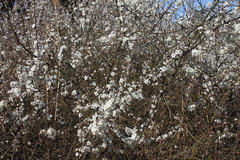 Killikus&reg; Fotographie