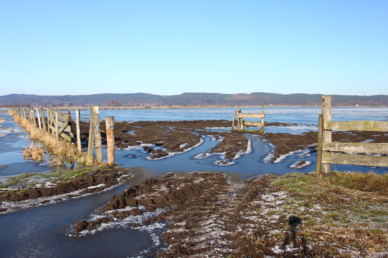 Killikus&reg; Fotographie