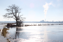 Killikus&reg; Fotographie