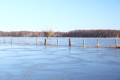 Killikus&reg; Fotographie