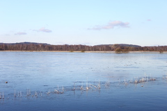 Killikus&reg; Fotographie