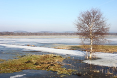 Killikus&reg; Fotographie