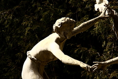 Killikus&reg; Fotographie