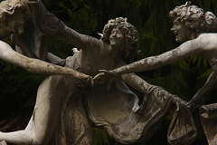 Killikus&reg; Fotographie