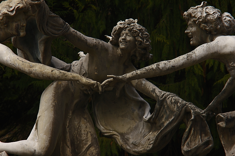 Killikus&reg; Fotographie