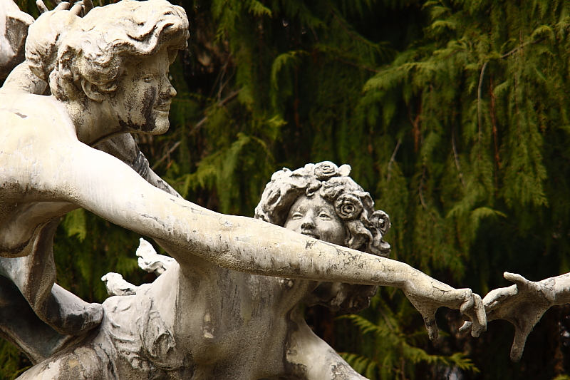 Killikus® Fotographie Killikus® Fotographie