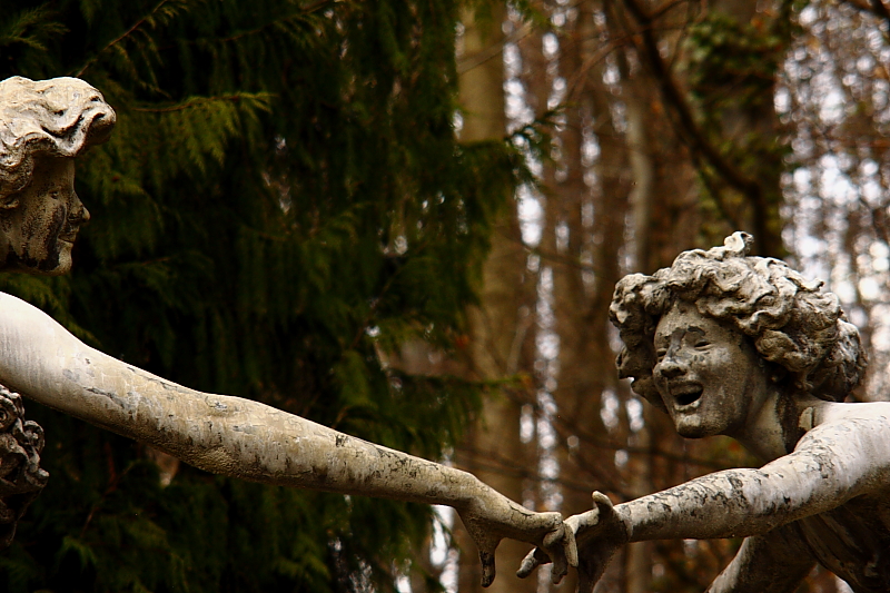 Killikus&reg; Fotographie