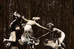 Killikus&reg; Fotographie