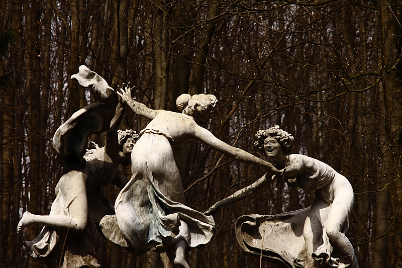 Killikus® Fotographie Killikus® Fotographie