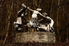 Killikus&reg; Fotographie