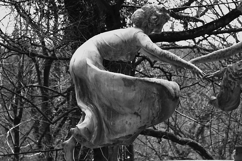 Killikus&reg; Fotographie