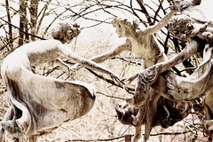 Killikus&reg; Fotographie